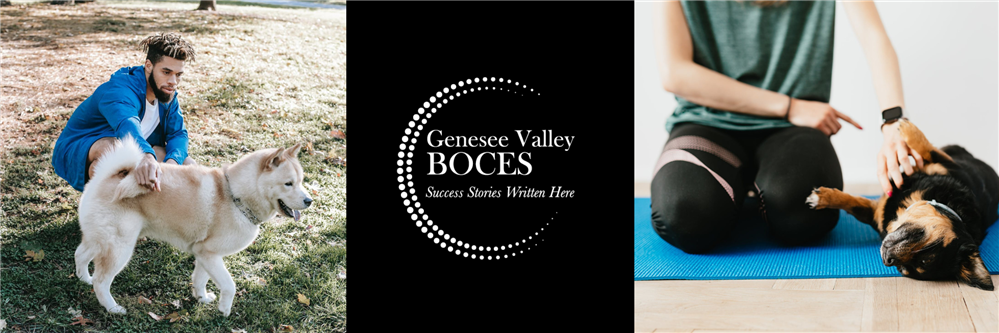 Dog and puppy obedience photos and GV BOCES logo